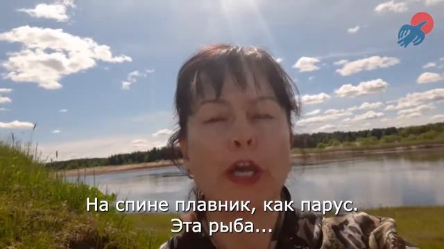 Разминка для ума. Загадки про рыб от Алёны Сметаниной