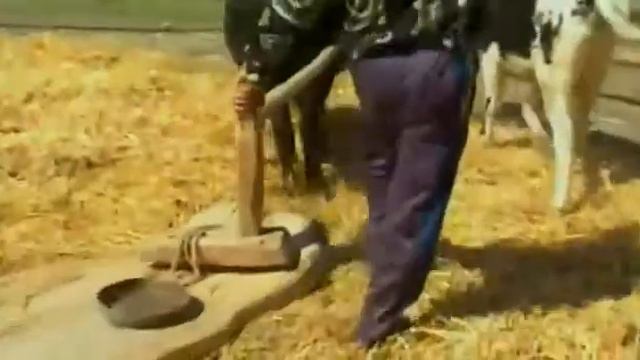 Лак. Лакку балай. Народная песня. Лакку маз. Голос. Лакская песня. Хит. Лакцы. Скачать. смотреть онлайн