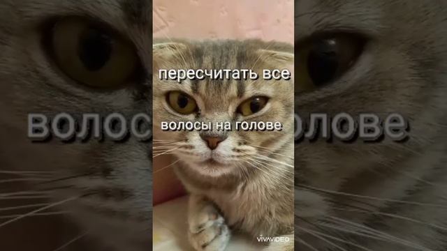 Вы знали что человек не может сделать 3 следующие вещи