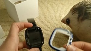 Купил часы хренобусу. #хренобус #блоптоп #часы