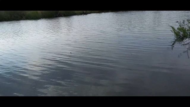 Спасск-Дальний. Спасский район.  Село Новосельское рыбалка.