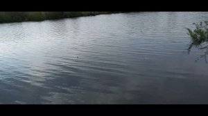 Спасск-Дальний. Спасский район. Село Новосельское рыбалка.
