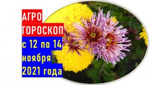 Агрогороскоп с 12 по 14 ноября  2021 года