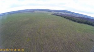 Медведь в Ташле