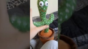 танцующий кактус