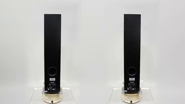 Dynaudio Xeo 6 Black Satin смотреть онлайн