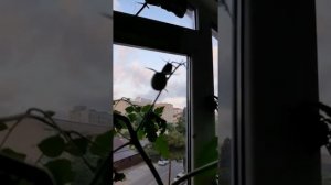 Находки с помойки 10 часть