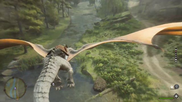 Hogwarts legacy - дракон в вивариуме, полёт на драконе и другие звери смотреть онлайн