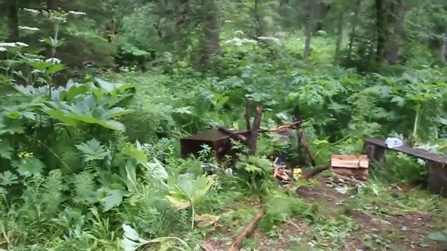 ОБЛИВАЕМ Г. ВЫЖИВАЛЬЩИКОВ, ПРОФЕССИОНАЛЬНЫЙ БУШКРАФТ