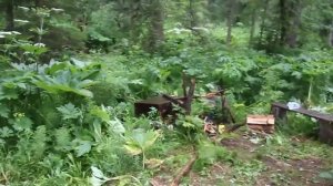 ОБЛИВАЕМ Г. ВЫЖИВАЛЬЩИКОВ, ПРОФЕССИОНАЛЬНЫЙ БУШКРАФТ