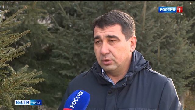Уборочная кампания в Забайкальском крае вышла на финишную прямую