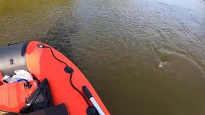 Щука на реке Тобол. Отличный осенний день. Ловля на джиг.