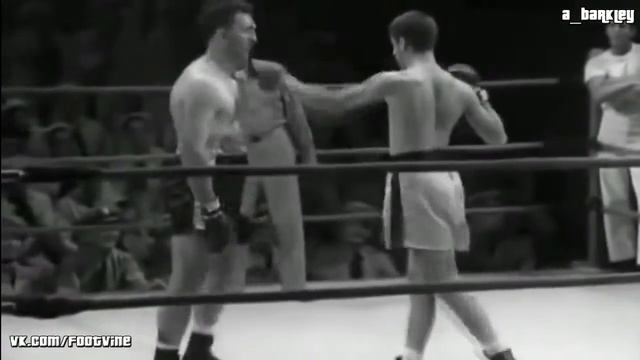 Боксер танцует смотреть онлайн