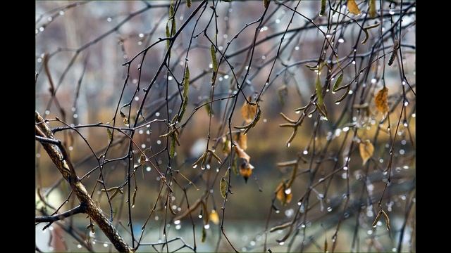 Как не потерять оптимизм, когда осень на дворе смотреть онлайн