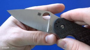 Spyderco Domino, много слов об интересном ноже