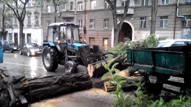Коммунальщики устраняют перекрытие деревом улицы в центре Одессы смотреть онлайн
