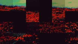 🔥до скорых встреч...кавер❗@Алёна Лайфгард