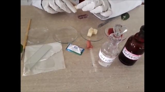 How to Make a Section Cutting of Leaf (English, Hindi is Also Available) By Solution Pharmacy смотреть онлайн