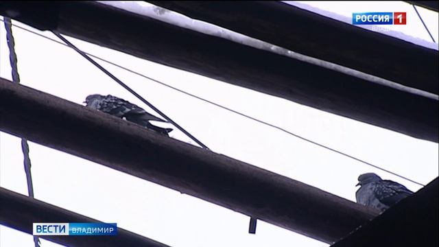 Дом купца Васильева реставрационные работы смотреть онлайн