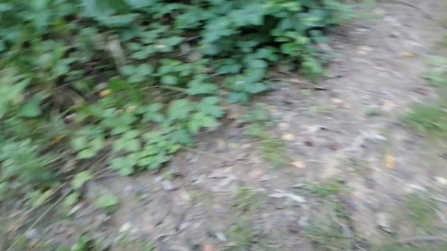 2023.08.29 Локи. Спецназ ГРУ, на. Прибыли, на. смотреть онлайн