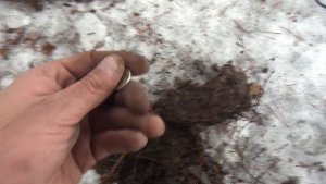 ЗИМНИЙ КОП (ПОИСК МОНЕТ МЕТАЛЛОИСКАТЕЛЕМ) х терра 305