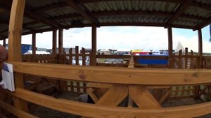 Сельхоз животные свиньи, коровы, лошади, овцы и т.д.Международная выставка «Белагро-2019