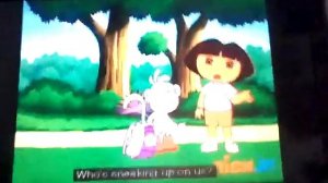 SWIPER SWIPES THE STAR POCKET