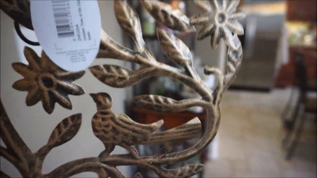 ??? EYEBALL UPDATE & I survived an attack by blood thirsty plants!?? смотреть онлайн