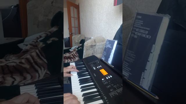 5 неделя обучения.YAMAHA PSR E363 смотреть онлайн