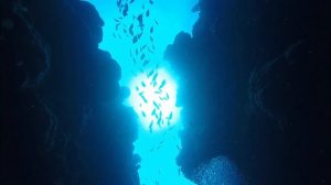 Дайвинг в Дахабе