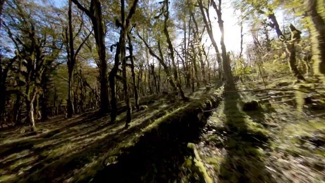 Каньон реки Псахо. смотреть онлайн