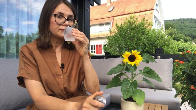 АРОМАТЫ СОЛНЦА. смотреть онлайн