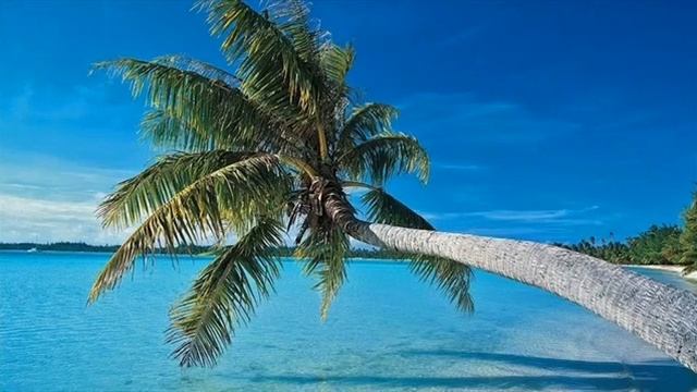 Рост и развитие растений. смотреть онлайн