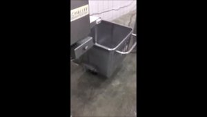 Разделка форели на филетировочной машине Pisces FR 200