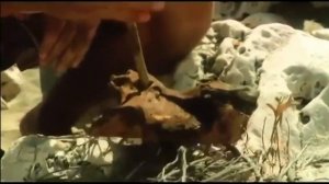 Добыча огня ТРЕНИЕМ