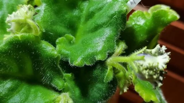 1 июня 21 года смотреть онлайн