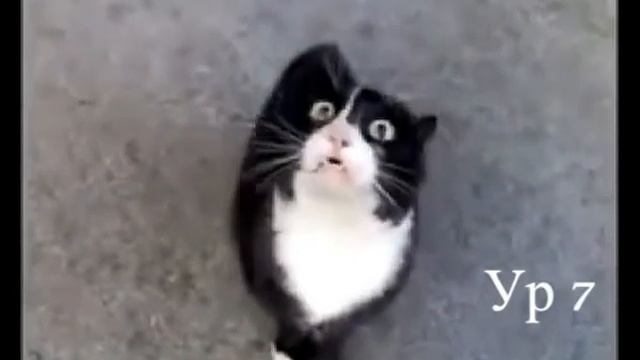 YouTube-игра: Проверка выносливости. смотреть онлайн