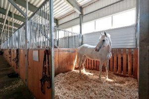 Костра льна