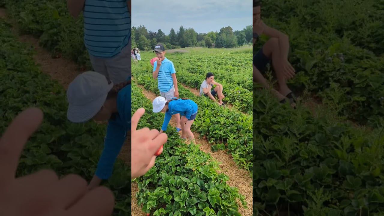 Отдых техника в выходной смотреть онлайн