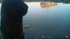 Рыбалка в черте города, в луже. Сазан 1650 грамм