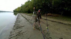 Дикий сазан. Часть 3. Крокодилы + Невские катушки = идеальное сочетание на сазана. Обь 2021