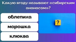 ТЕСТ ЗНАНИЙ | 10 ВОПРОСОВ на эрудицию и интеллект