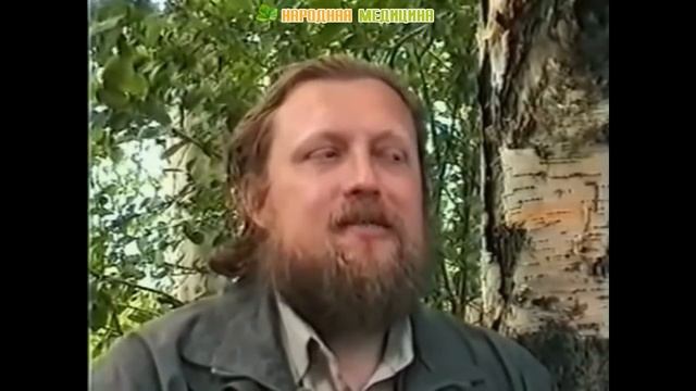 Чага (берёзовый гриб) – полезные свойства и применение чаги, как настаивать чагу, лечение чагой