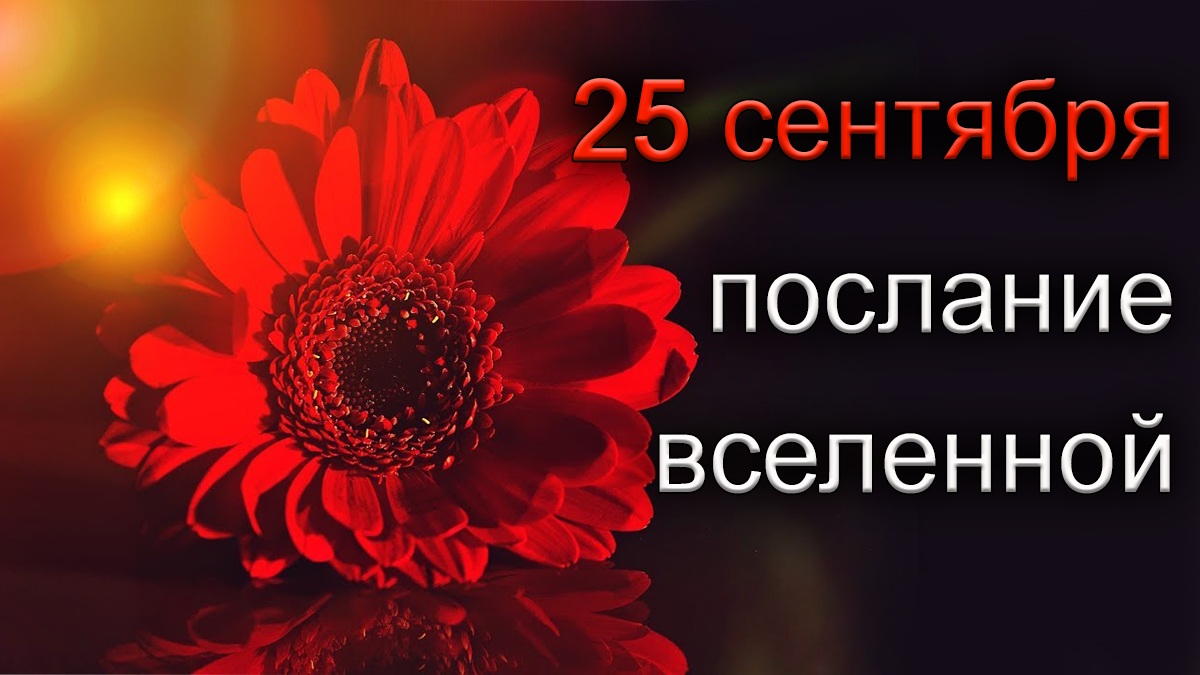 ПОСЛАНИЕ ВСЕЛЕННОЙ на 25 сентября.*Эзотерика Для Тебя*
