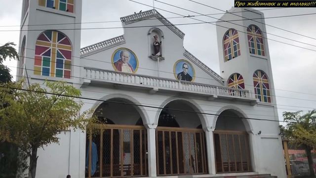 Странный ДОМ выброшенный на пляж Сальвадора напугал местных жителей! Не поверите откуда он приплыл. смотреть онлайн