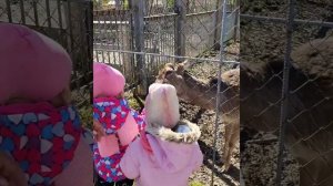 Развитие ребёнка в 2 года 3 месяца. Что умеют двойняшки в два года три месяца.