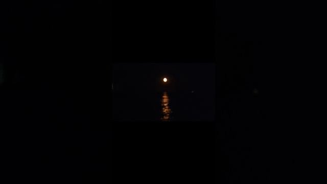 Ялта светлячки резвятся под всплывающей из моря луной Крым 🍎