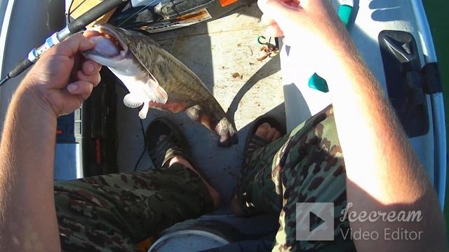 Сом на квок Много сомов на эхолоте смотреть онлайн