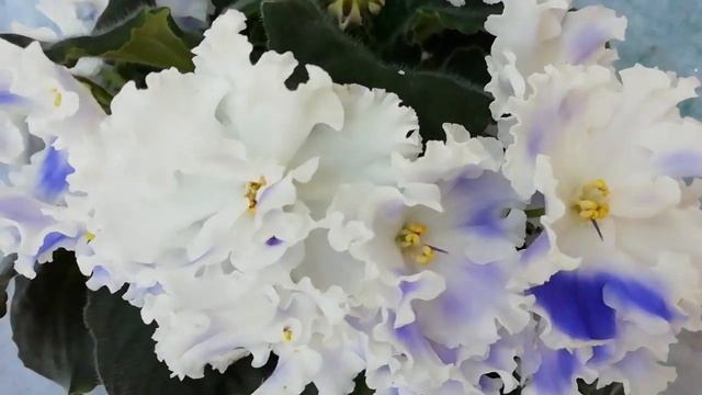 ЕК-Снег и небо смотреть онлайн