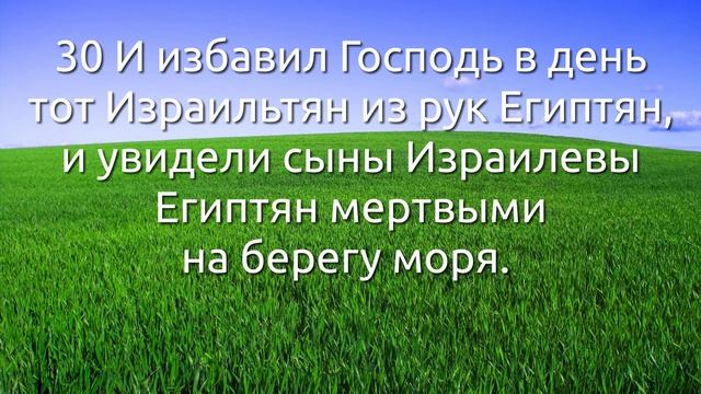 СЛОВО БОЖИЕ. Тихое время с Живой Жизнью. [Исход 14:15–31]Великое избавление (08.05.2021)
